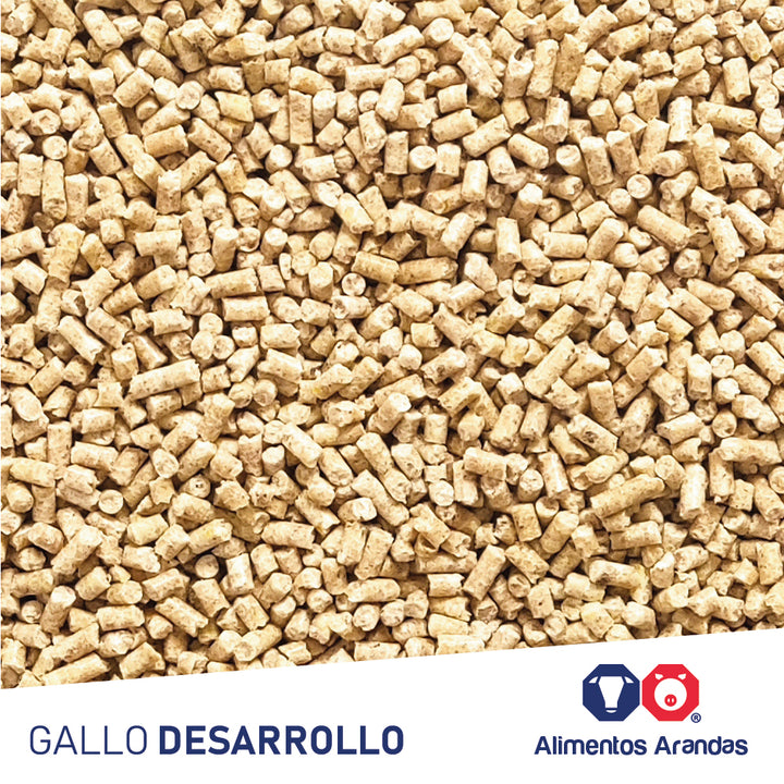 ARA MP Gallo Desarrollo 25KG
