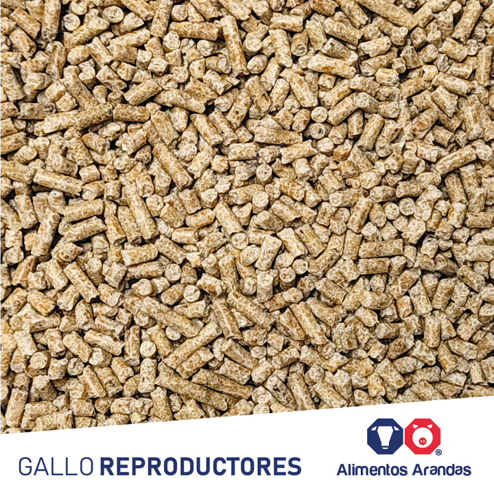ARA MP Gallo Reproductores 25KG