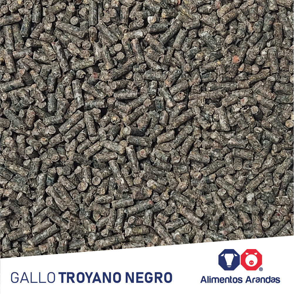 ARA MP Gallo Troyano Negro 25KG