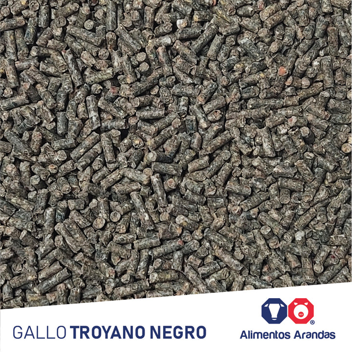 ARA MP Gallo Troyano Negro 25KG