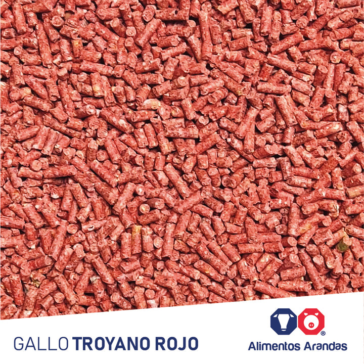 ARA MP Gallo Troyano Rojo 25KG