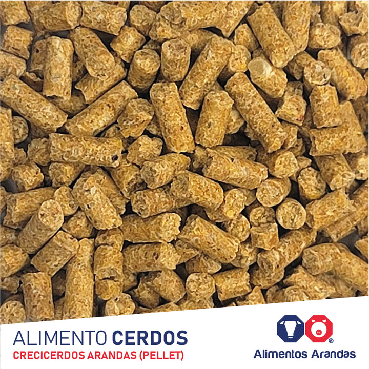 ARA P Alimento Crecicerdos 25KG