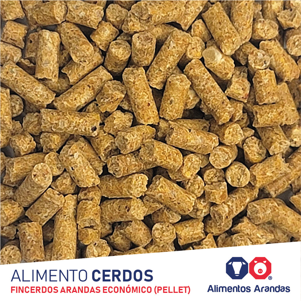 ARA P Alimento Fincerdos Arandas 25KG
