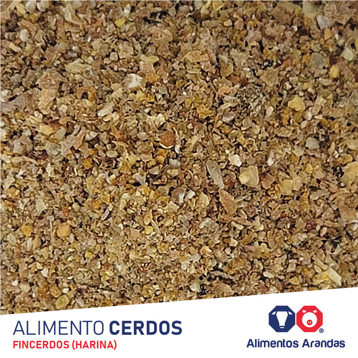 ARA H Alimento Fincerdos 25KG