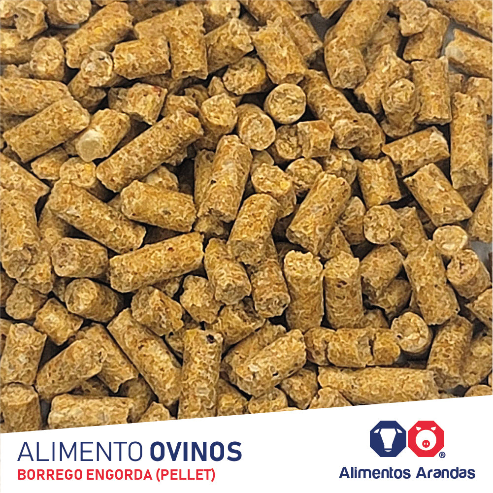 ARA P Alimento Para Ovinos Borrego Engorda 25KG
