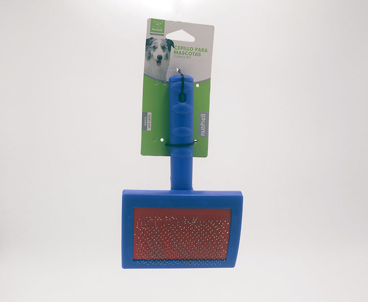 CEPILLO ECONOMICO AZUL CH