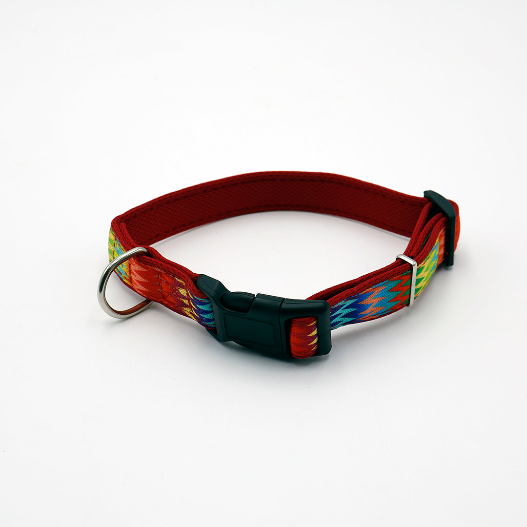 COLLAR DE COLORES PARA PERROS CH