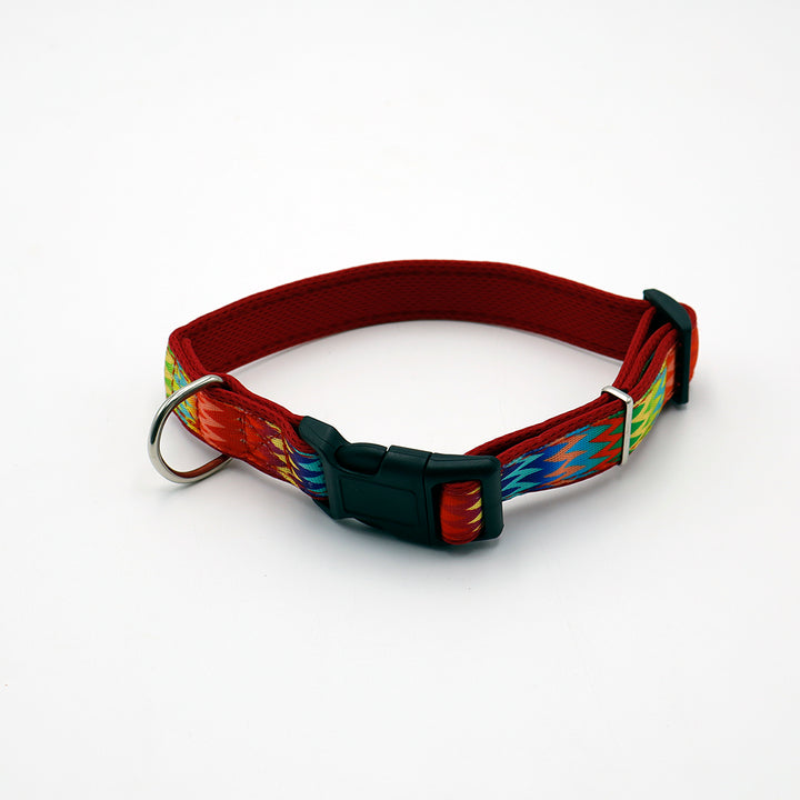 COLLAR DE COLORES PARA PERROS CH