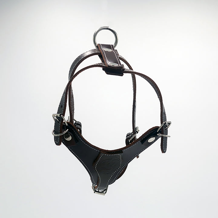 PECHERA DE PIEL