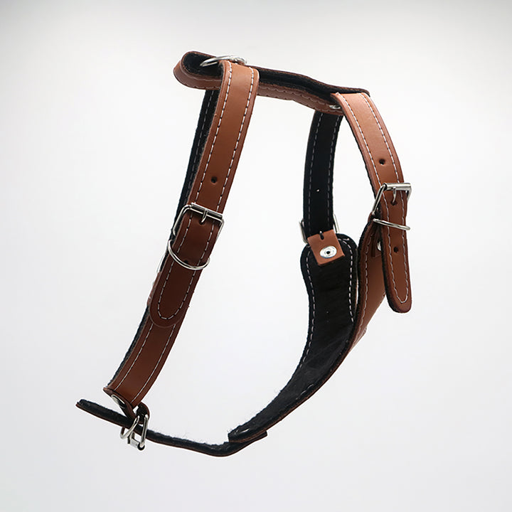 PECHERA DE PIEL