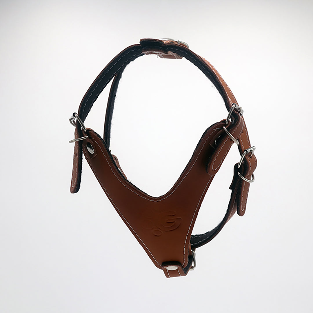 PECHERA DE PIEL
