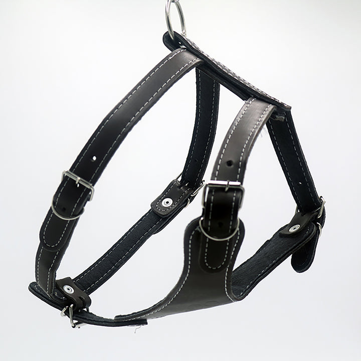 PECHERA DE PIEL