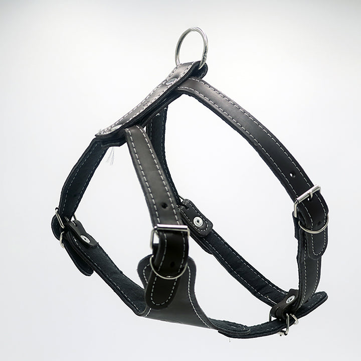 PECHERA DE PIEL