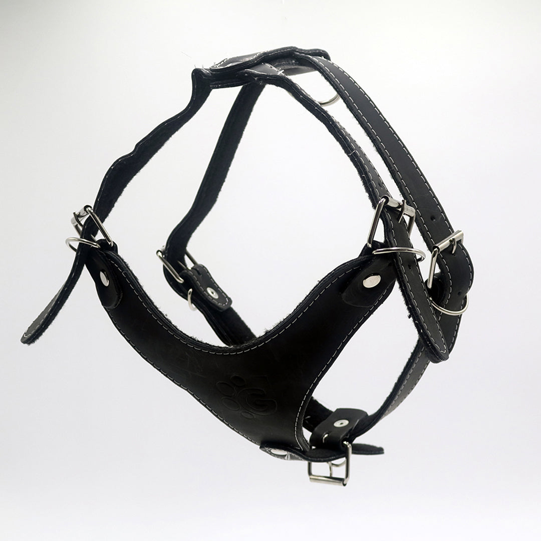 PECHERA DE PIEL
