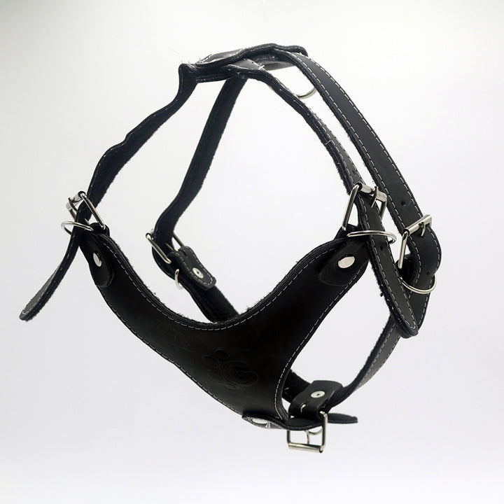 PECHERA DE PIEL