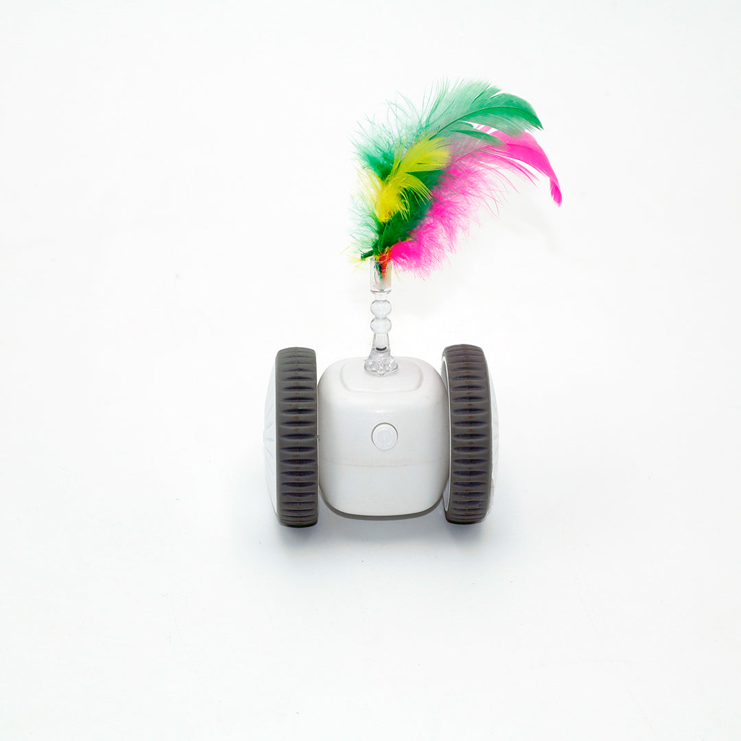 JUGUETE PARA GATOS DRIFT TOY CAR