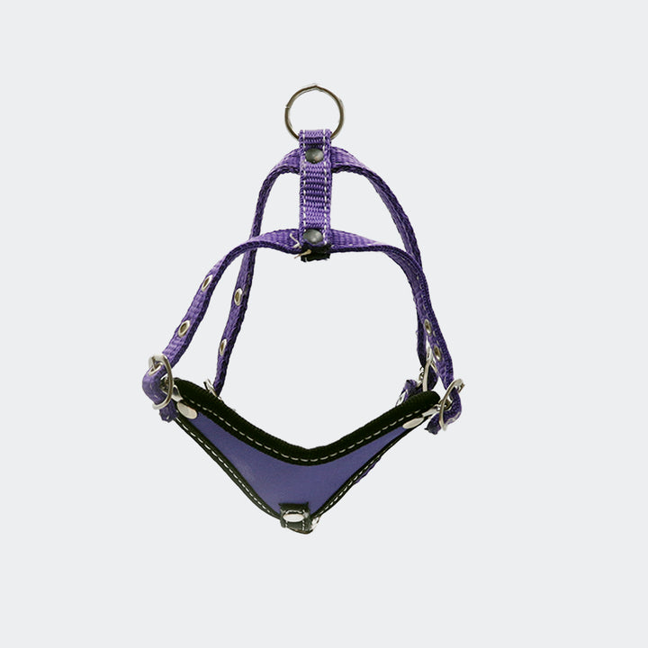 PECHERA CINTA RIBETE