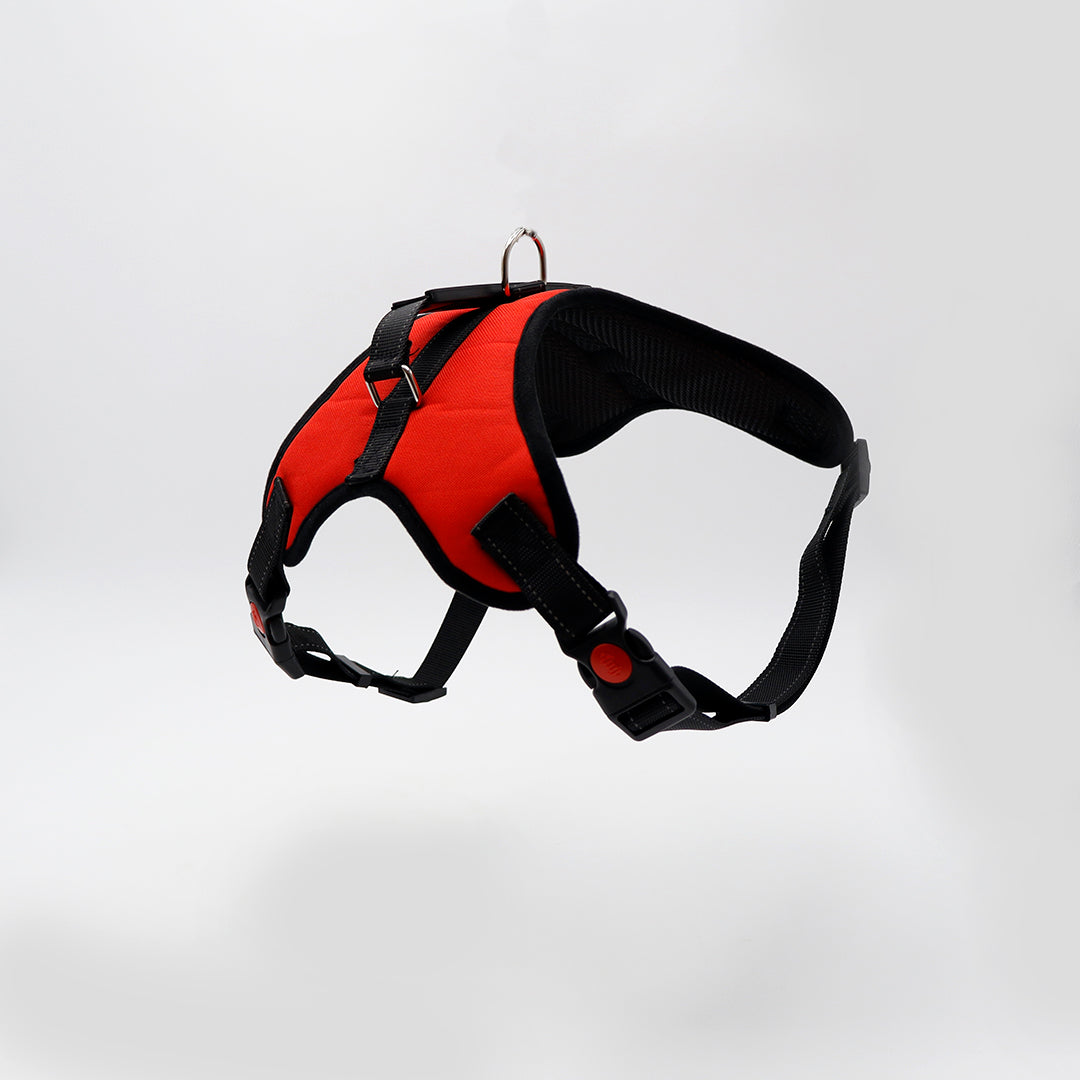 PECHERA CON AGARRADERA TALLA EG