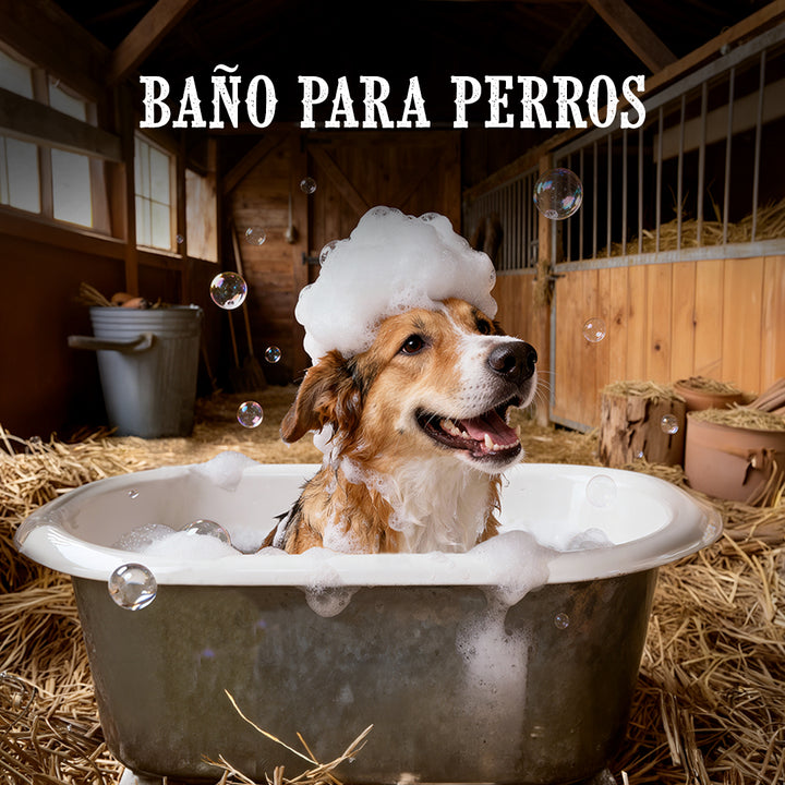 Baño para mascota