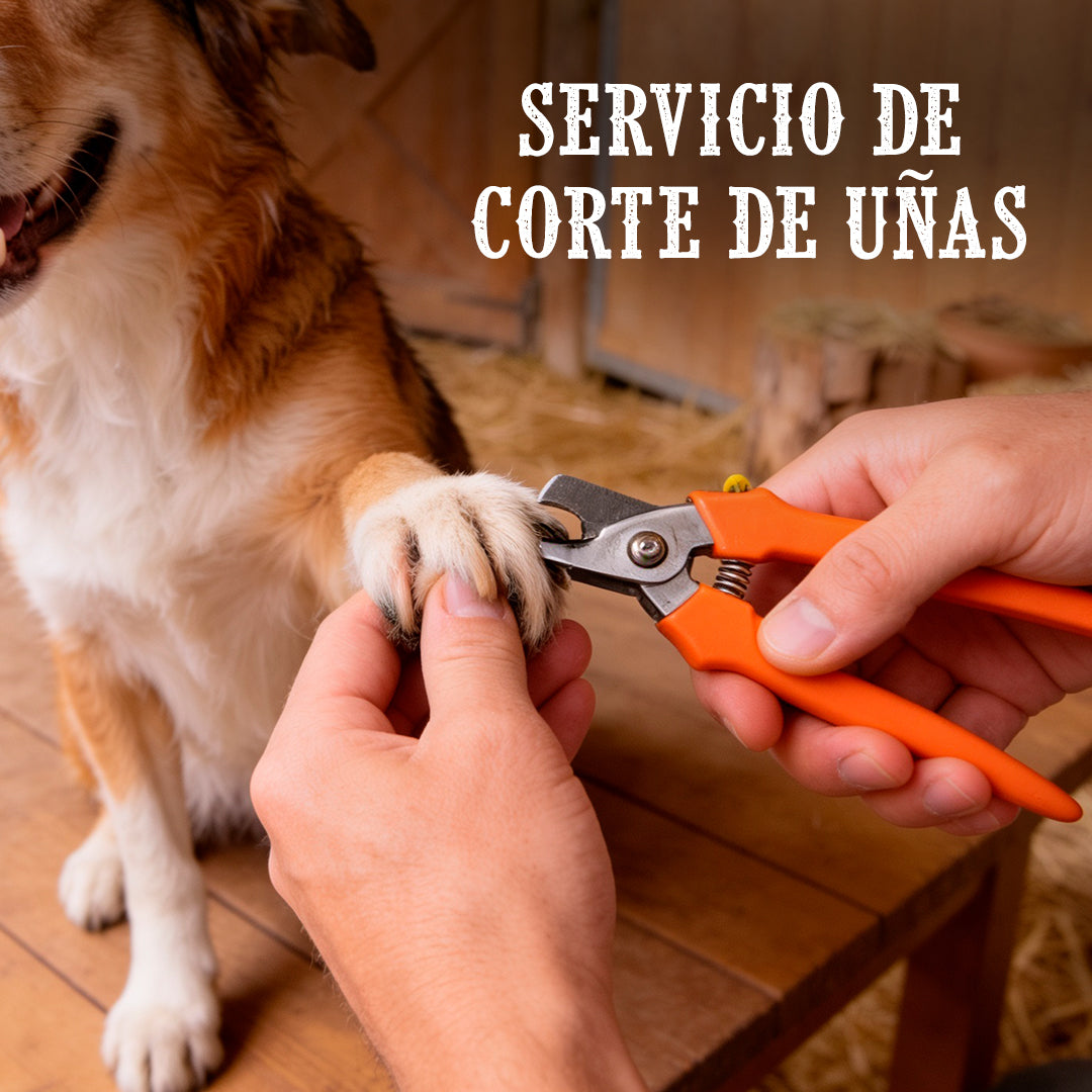 Baño para mascota