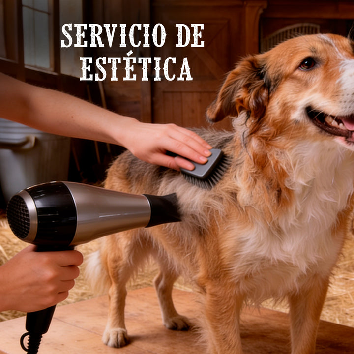 Baño para mascota